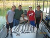 (09/27/2014) - Nice Striped Bass